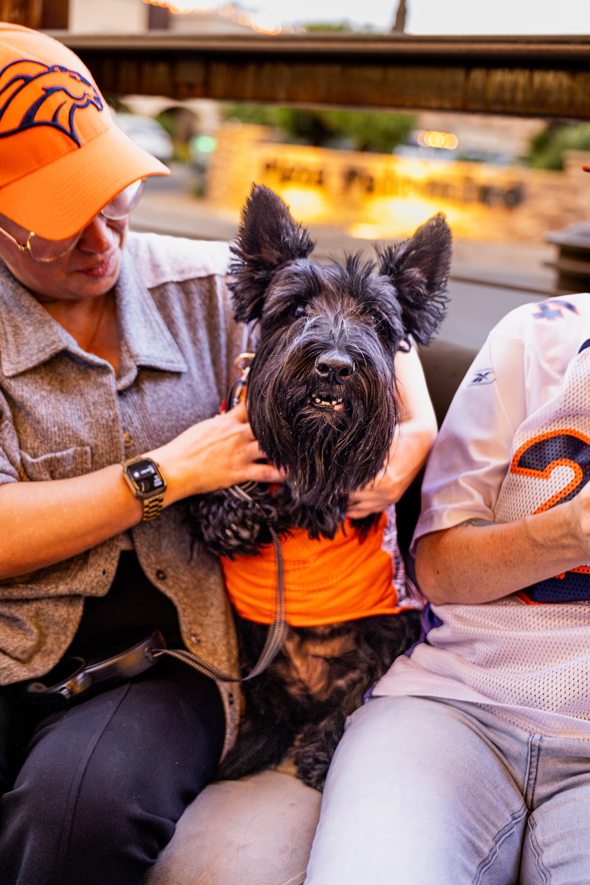 A Scottie dog in a team bandana on the patio